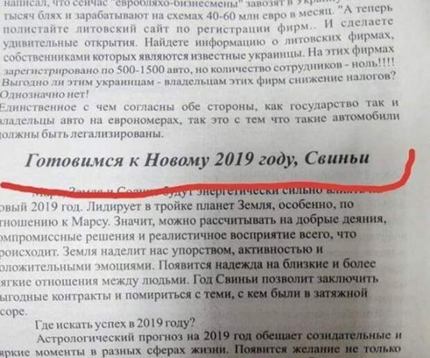 Подборка картинок (20 фото)