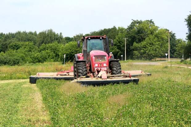 У філіяле ´Варатынь´ нарыхтоўваюць корм з траў другога ўкосу.
