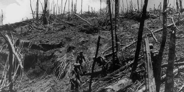 Высота Гамбургер: гора, которая изменила войну во Вьетнаме