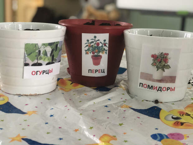 БВ фото к муницип статье на 05.03.20-1