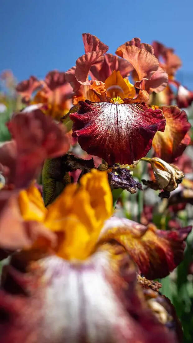 Доброе утро!