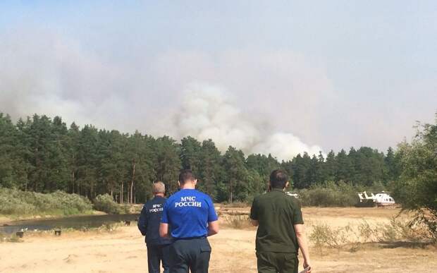 В Рязанской области с 1 апреля объявлен пожароопасный сезон