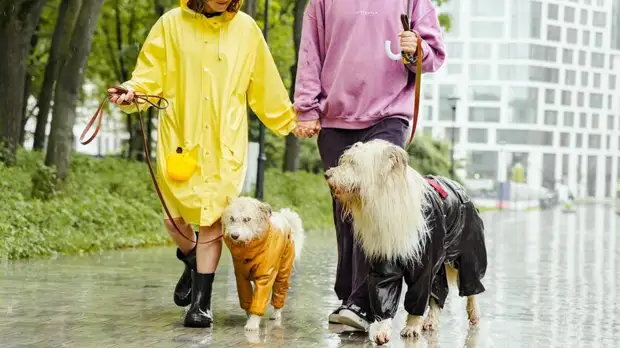 Дождь с грозой ожидается в Ростовской области 28 апреля