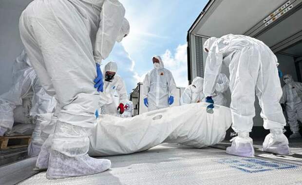 Обмен погибшими: Россия, начиная с 2025 года, вернула Украине 12 000 павших солдат ВСУ. Киев нам — 200