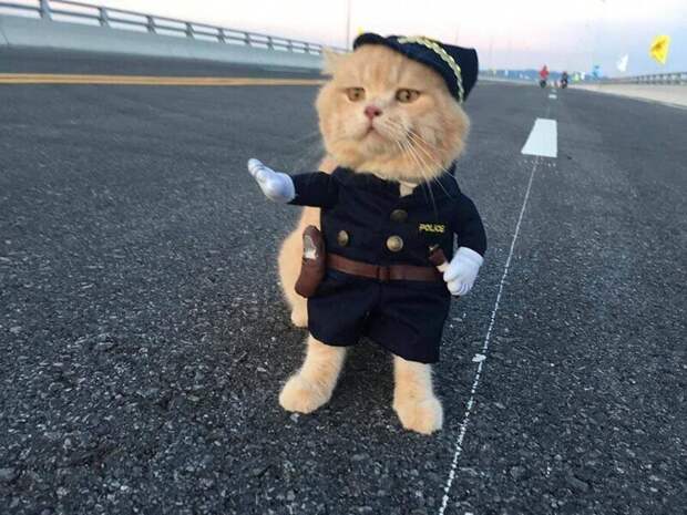 Ударим позитивом по... негативу!