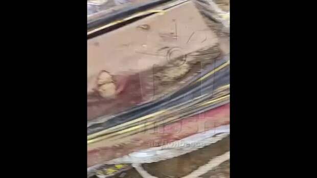 Video: Клип @donetskdnr_vk