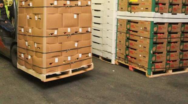 Транспортные волонтеры из Петербурга передали бойцам собранную гумпомощь