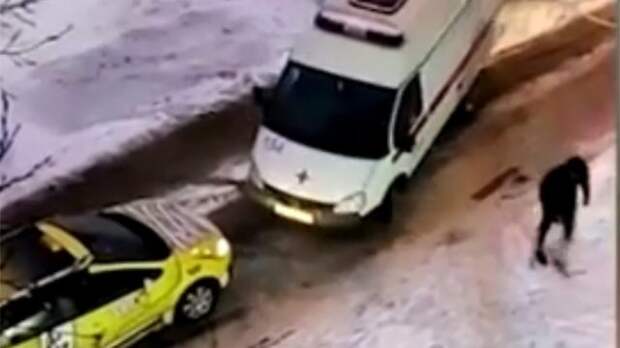 Видео: агрессивный таксист в Самаре не пропустил машину скорой помощи