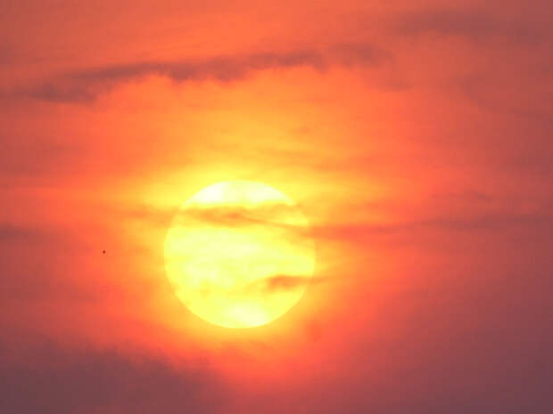 Your majesty, the Sun by Elieser Botelho da Silva on 500px.com