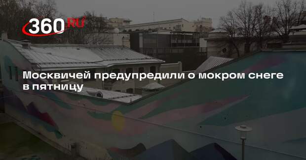 Синоптик Позднякова: в Москве в пятницу ожидаются мокрый снег и дождь