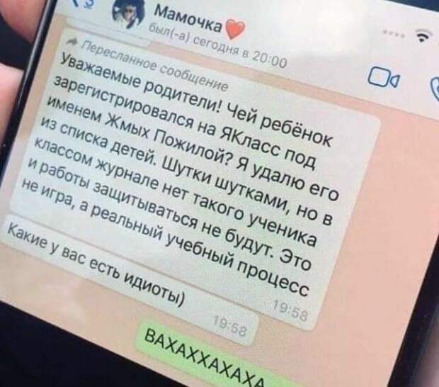 www.vsyako.net