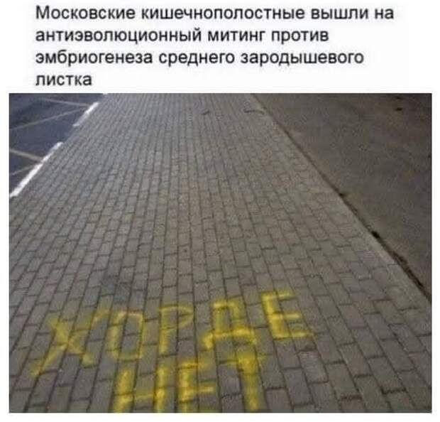 Всяческие картинки