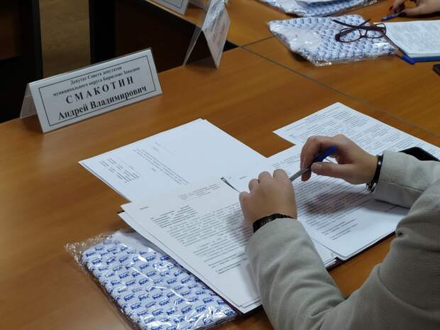 депутаты совещание совет депутатов 18.11 (3)