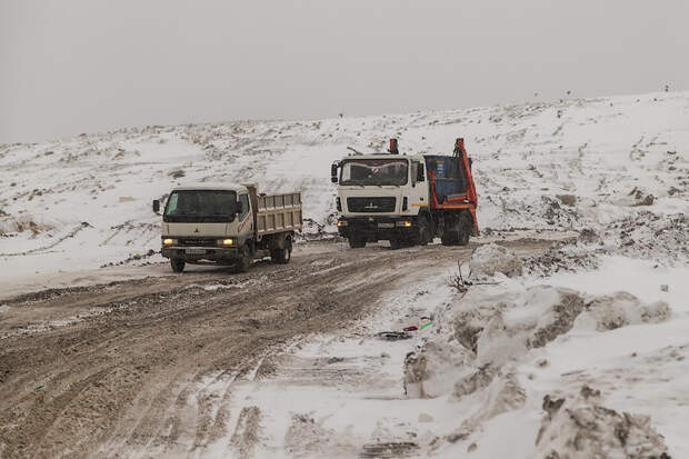 Акции АО «САХ» передадут в собственность Новосибирской области