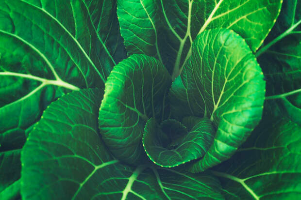 6 продуктов, которые добавят бодрости
