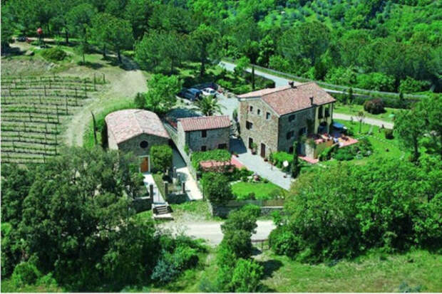 Фото: соцсети