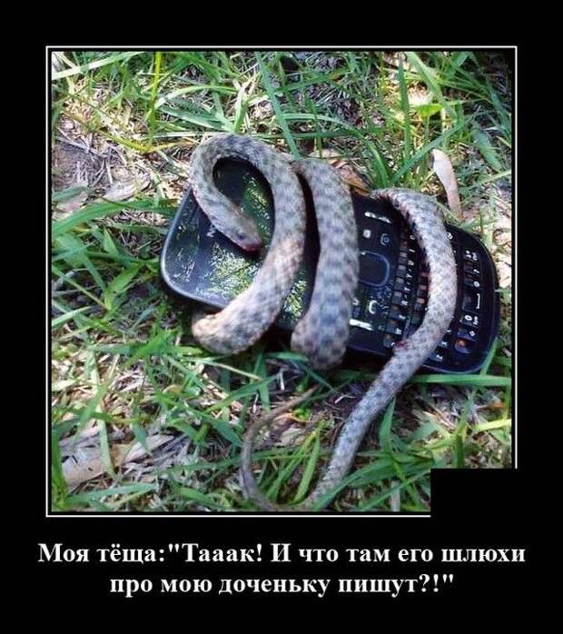 demotivatory-demotivator-smeshnye-demotivatory-demotivator-so-smyslom