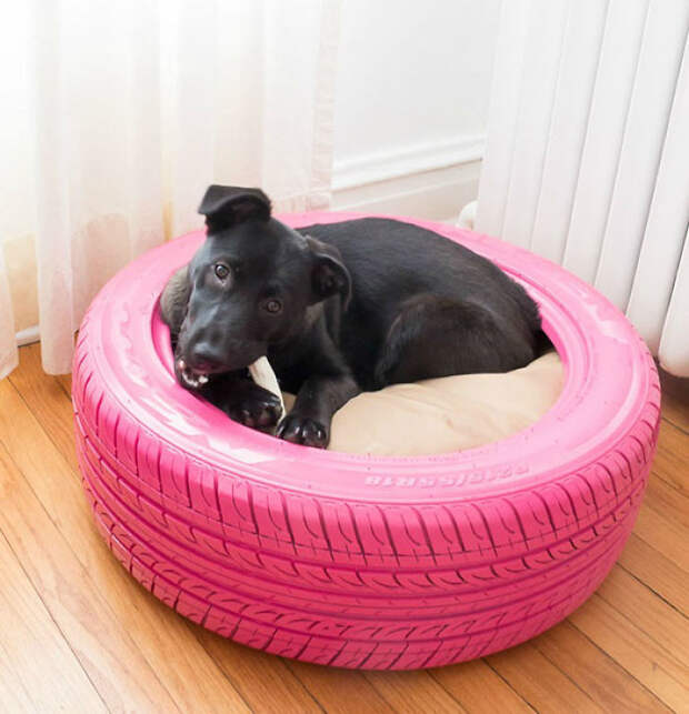 Stylish Dog Bed From A Recycled Tire