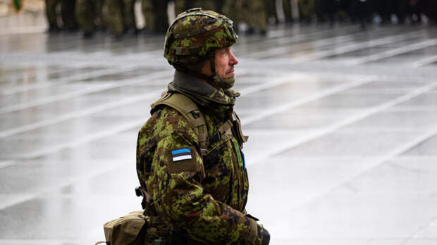 В Эстонии готовы обсуждать с США отправку войск в Ормузский пролив