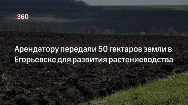 Арендатору передали 50 гектаров земли в Егорьевске для развития растениеводства