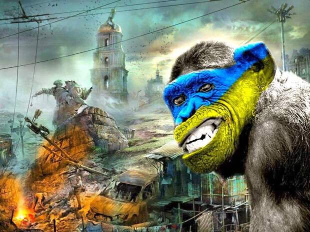 Почему итоги Евромайдана разочаровали украинцев Почему итоги Евромайдана разочаровали украинцев