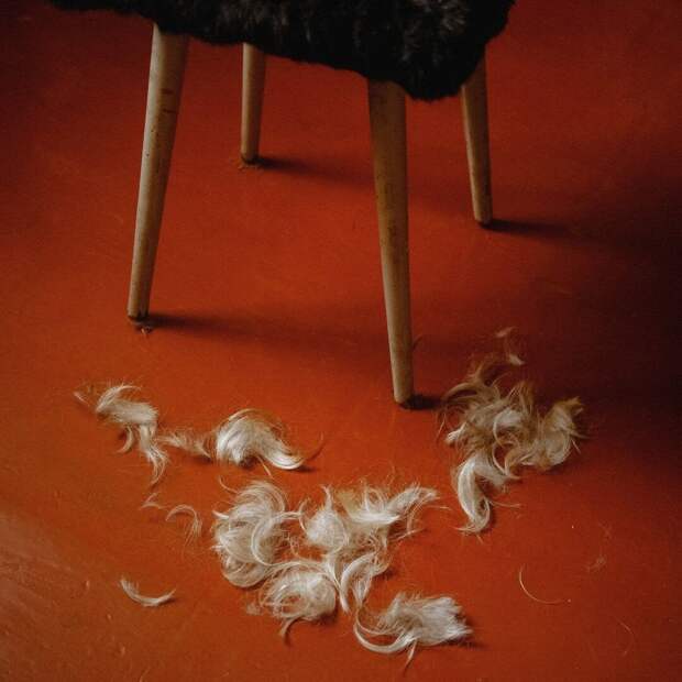 Общество «А–Я» представляет новый выставочный проект «Природа вещей и надежд»