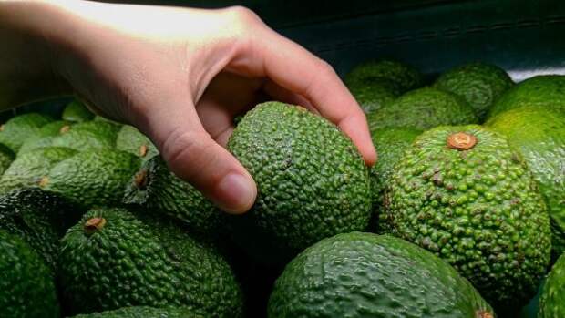 avocado3