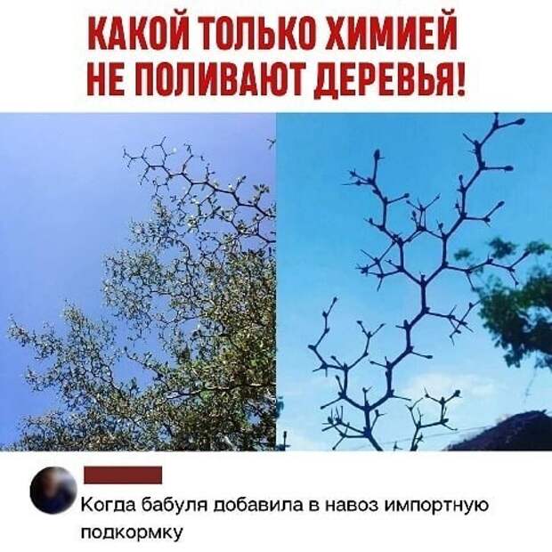 Ох уж это зарубежное все Ох уж это зарубежное все
