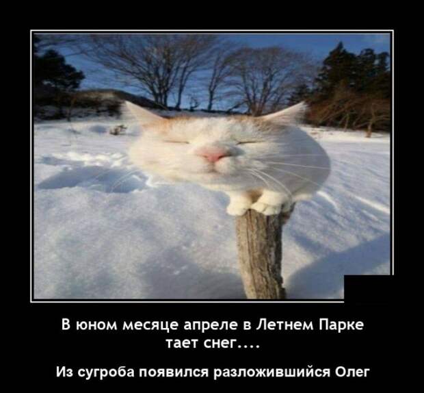 Демотиваторы 28 апреля 2021 года
