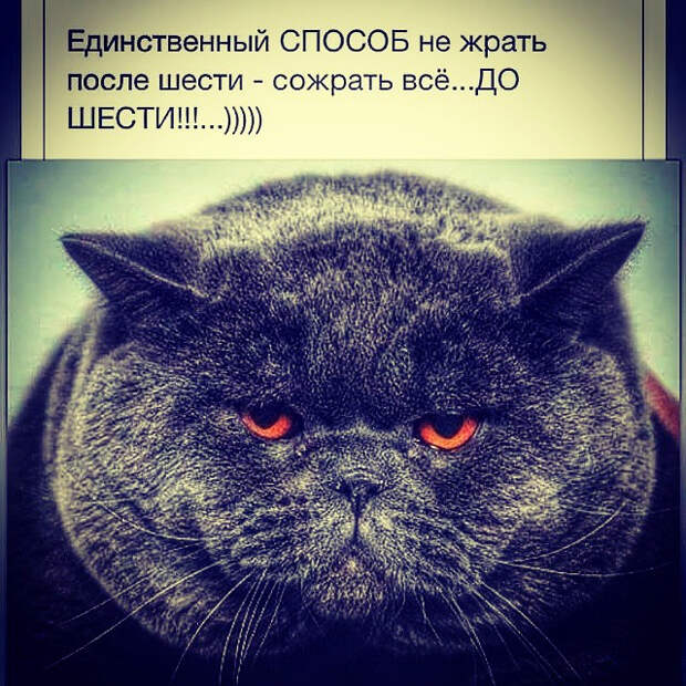 203232909_03b87e4de6e4d280a5c5acfd303b94d1_800 (640x640, 446Kb)