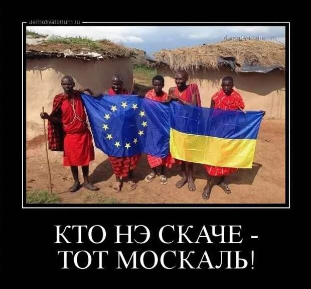 Прикольные демотиваторы с надписями. Подборка chert-poberi-dem-chert-poberi-dem-30200303112020-11 картинка chert-poberi-dem-30200303112020-11