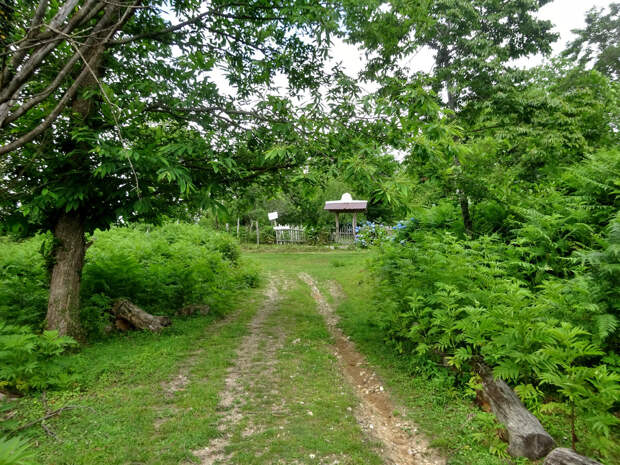 НЕОБЫЧНАЯ ДОСТОПРИМЕЧАТЕЛЬНОСТЬ НОВОГО АФОНА - СТАРИННЫЙ МОНАШЕСКИЙ ПАРОВОЗИК НА ВЕРШИНЕ ГОРЫ АКУИ. ПОДЪЕМ. ЧАСТЬ 3