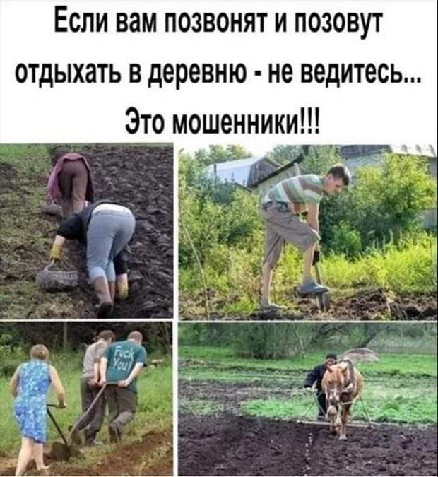 Подборка улетных картинок и мемов