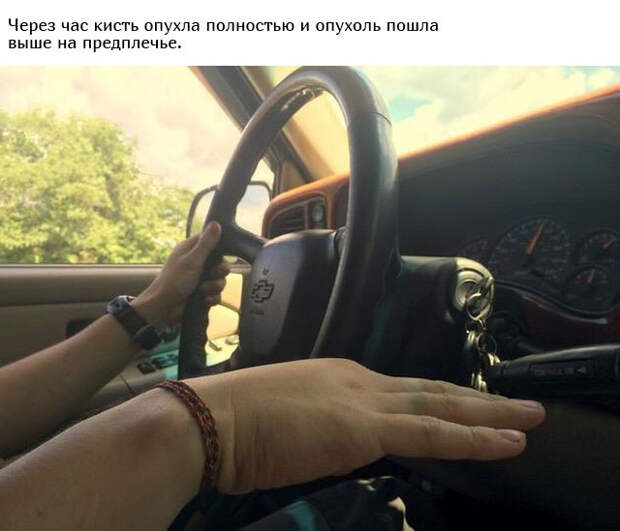www.vsyako.net