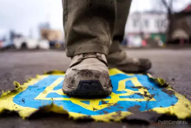 НПО, вывозящая детей с Украины, готовится к транспортировке сотен человек