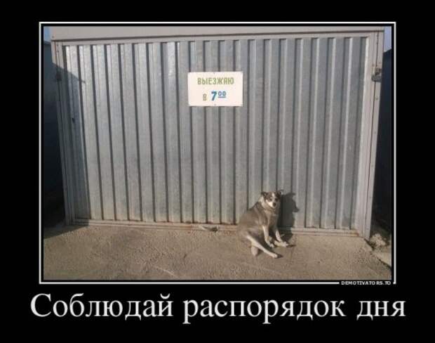 Фотоприколы на автотематику (21 шт)