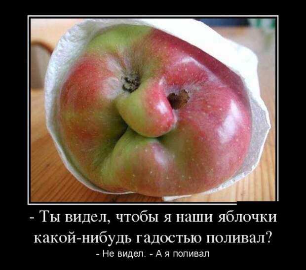 Демотиваторы (30 фото)