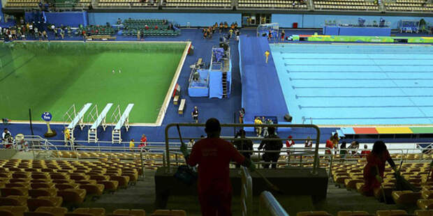 Бассейн на Олимпиаде в Рио вдруг позеленел, и никто не признается Олимпиада 2016, бассейн, коты, плавание, сделай сам