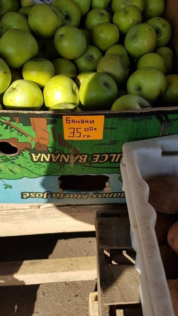 Зелёные бананы