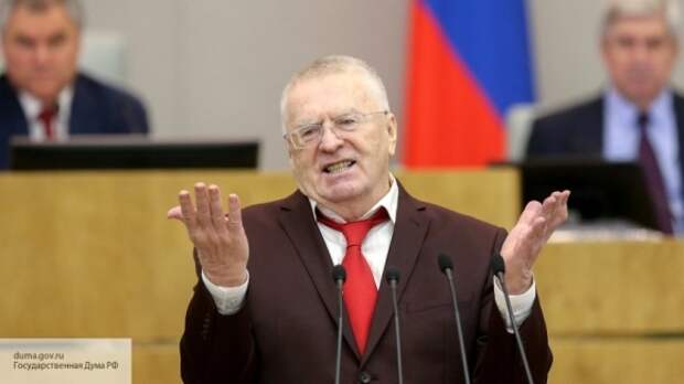 В Совфеде призвали не воспринимать всерьез идею Жириновского упразднить выборы президента