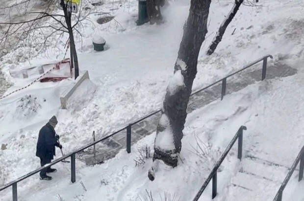 Режиссер «Ежика в тумане» Юрий Норштейн убрал снег возле дома