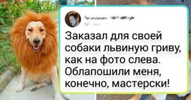 19 до боли жизненных ситуаций, когда ожидания людей и реальность разошлись, как в море корабли