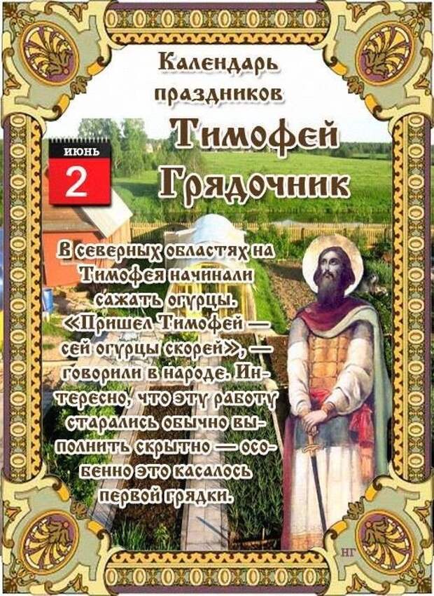 2 июня - Народно-христианский праздник Тимофей Грядочник.