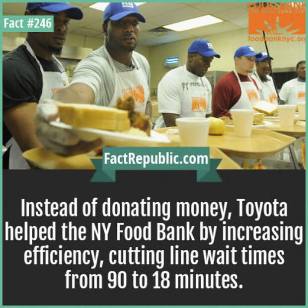 Everyday Life Facts