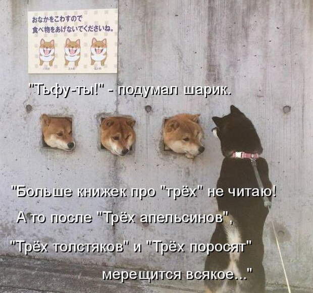 Лучшие котоматрицы недели Лучшие котоматрицы недели