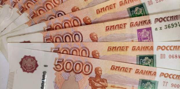 Минфин РФ возмутила «огромная» компенсация жительнице Барнаула за 1,5 года ареста
