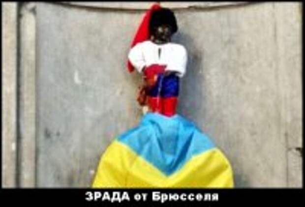 ЕС осквернили украинский флаг