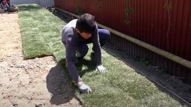 Укладка рулонного газона: как постелить «зелёный ковёр» своими руками