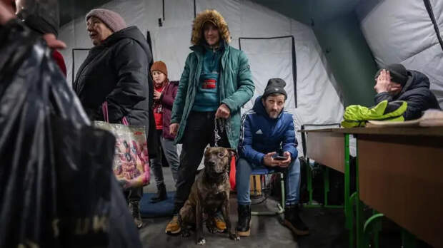 Царев объяснил, почему энергосистему Украины начали уничтожать только сейчас