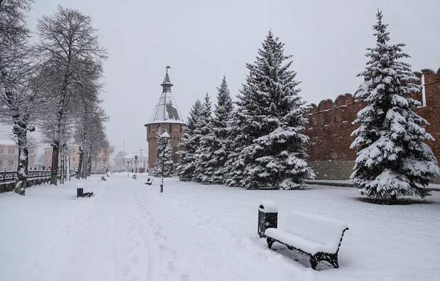 Снегопад и потепление до -9 градусов: синоптик Ильин рассказал о погоде в Тульской области в выходные